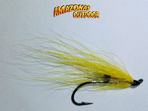 Yellow Ally's Fly